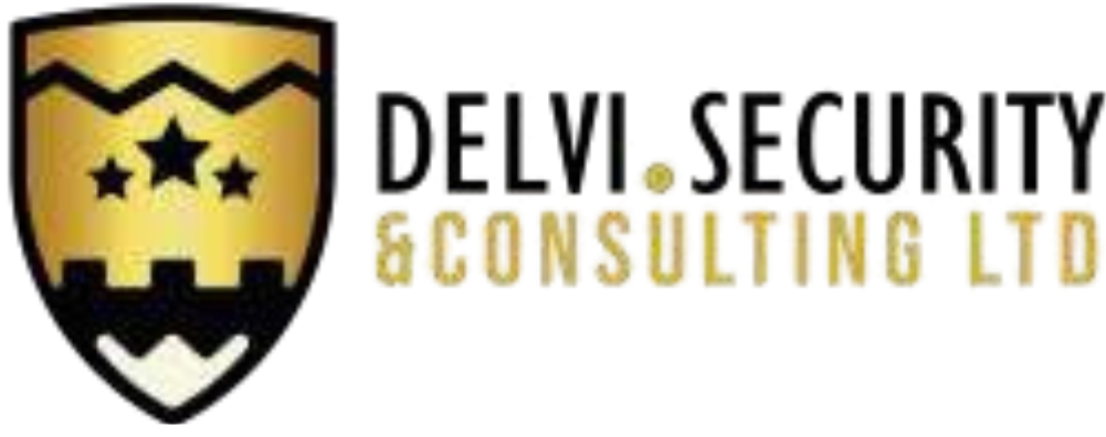 Delvi Security