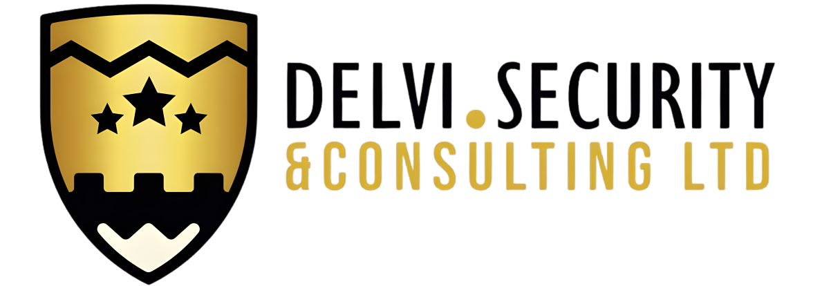 Delvi Security & Consulting Ltd